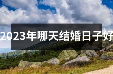 <h3>2025年哪天结婚日子好