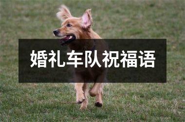 婚礼车队祝福语