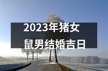 <h3>2025年猪女鼠男结婚吉日