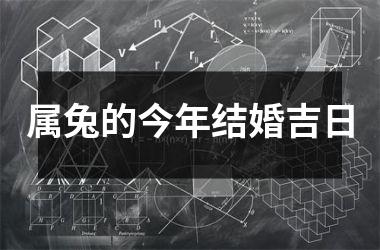 属兔的今年结婚吉日