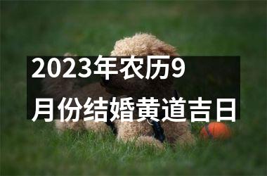 2023年农历9月份结婚黄道吉日