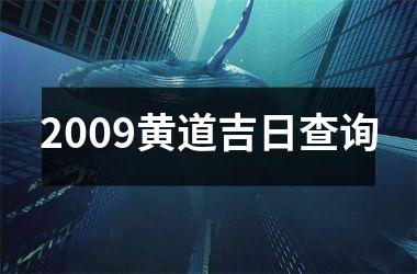 <h3>2009黄道吉日查询