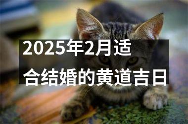 <h3>2025年2月适合结婚的黄道吉日