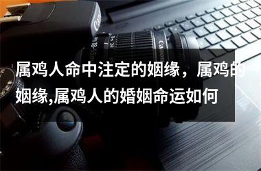 <h3>属鸡人命中注定的姻缘，属鸡的姻缘,属鸡人的婚姻命运如何