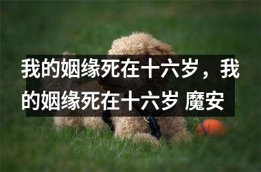 <h3>我的姻缘死在十六岁，我的姻缘死在十六岁 魔安