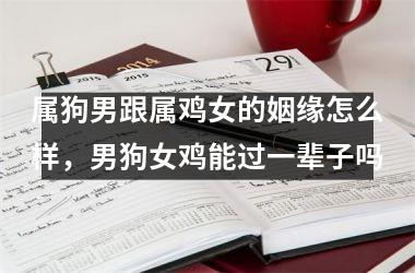 <h3>属狗男跟属鸡女的姻缘怎么样，男狗女鸡能过一辈子吗