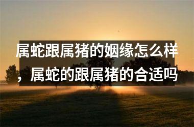 <h3>属蛇跟属猪的姻缘怎么样，属蛇的跟属猪的合适吗