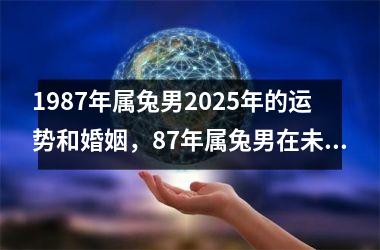 <h3>1987年属兔男2025年的运势和婚姻，87年属兔男在未来十年运势如何