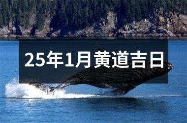 <h3>25年1月黄道吉日