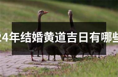 24年结婚黄道吉日有哪些