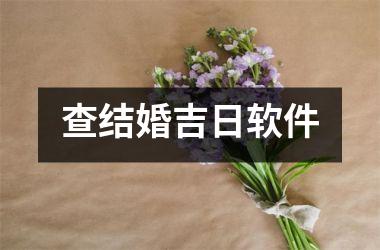 <h3>查结婚吉日软件