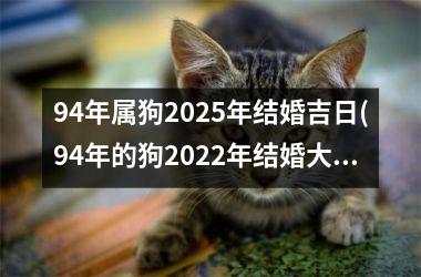 <h3>94年属狗2025年结婚吉日(94年的狗2022年结婚大利月)