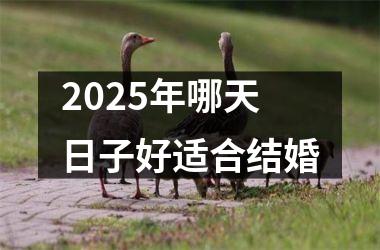 <h3>2025年哪天日子好适合结婚