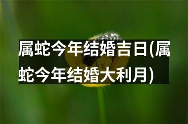 <h3>属蛇今年结婚吉日(属蛇今年结婚大利月)