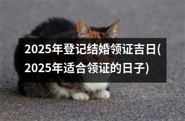<h3>2025年登记结婚领证吉日(2025年适合领证的日子)
