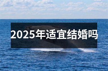 <h3>2025年适宜结婚吗