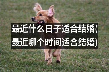 <h3>最近什么日子适合结婚(最近哪个时间适合结婚)