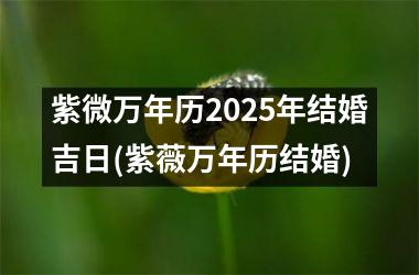 <h3>紫微万年历2025年结婚吉日(紫薇万年历结婚)