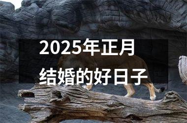 <h3>2025年正月结婚的好日子