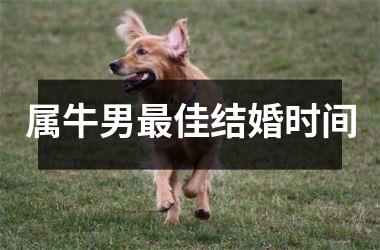 <h3>属牛男最佳结婚时间