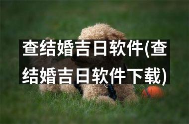 查结婚吉日软件(查结婚吉日软件下载)