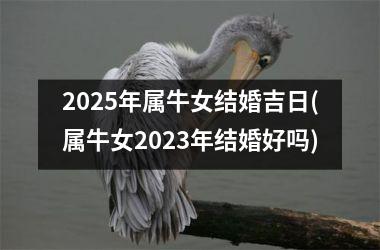 <h3>2025年属牛女结婚吉日(属牛女2023年结婚好吗)