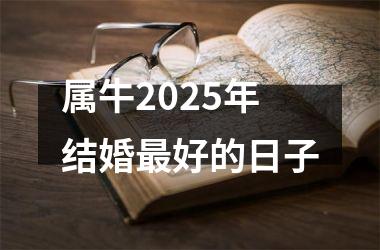 <h3>属牛2025年结婚最好的日子
