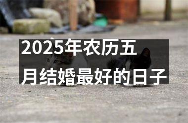 2025年农历五月结婚最好的日子