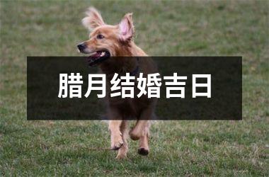 <h3>腊月结婚吉日