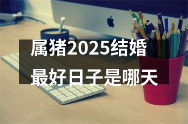 <h3>属猪2025结婚最好日子是哪天