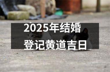 <h3>2025年结婚登记黄道吉日