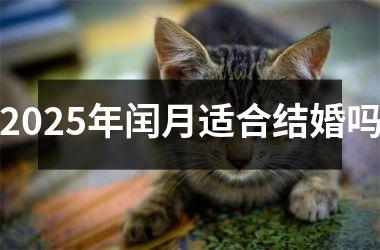 <h3>2025年闰月适合结婚吗
