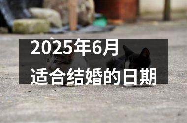 <h3>2025年6月适合结婚的日期