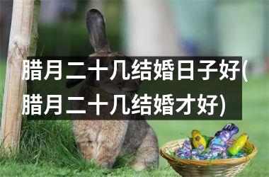 <h3>腊月二十几结婚日子好(腊月二十几结婚才好)