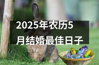 <h3>2025年农历5月结婚最佳日子