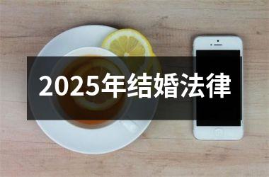 <h3>2025年结婚法律