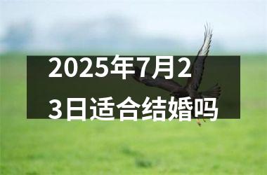 <h3>2025年7月23日适合结婚吗