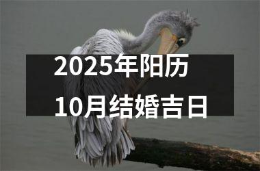 <h3>2025年阳历10月结婚吉日