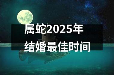 <h3>属蛇2025年结婚最佳时间