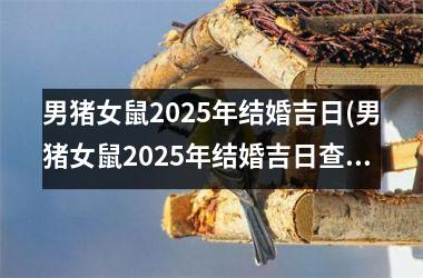 <h3>男猪女鼠2025年结婚吉日(男猪女鼠2025年结婚吉日查询)