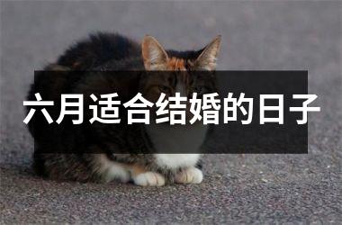 六月适合结婚的日子