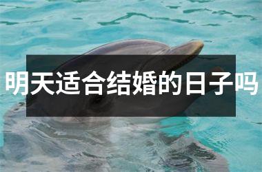<h3>明天适合结婚的日子吗
