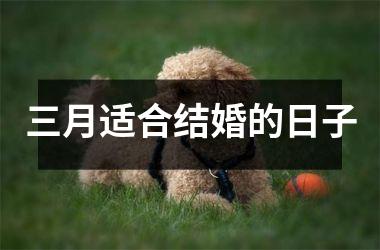 <h3>三月适合结婚的日子