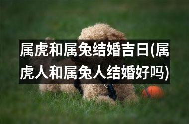 属虎和属兔结婚吉日(属虎人和属兔人结婚好吗)