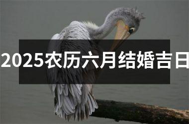 2025农历六月结婚吉日