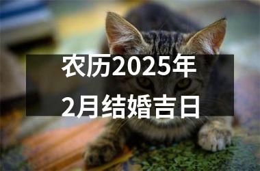 <h3>农历2025年2月结婚吉日