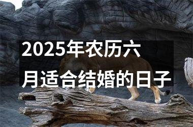 <h3>2025年农历六月适合结婚的日子