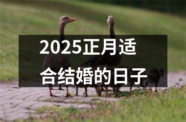 <h3>2025正月适合结婚的日子