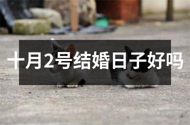 <h3>十月2号结婚日子好吗