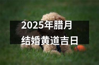 <h3>2025年腊月结婚黄道吉日
